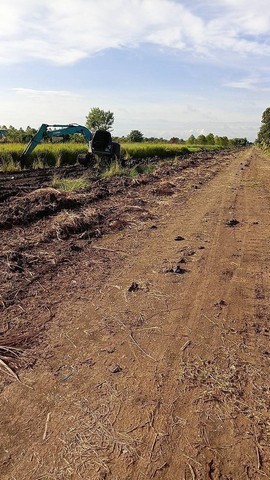 ที่ดินเงินผ่อน คลอง 11 รพีพัฒน์ หนองเสือ ปทุมธานี ผ่อนได้ 24 เดือน