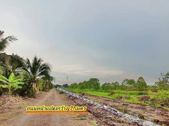 ที่ดินเงินผ่อน คลอง 11 รพีพัฒน์ หนองเสือ ปทุมธานี ผ่อนได้ 24 เดือน