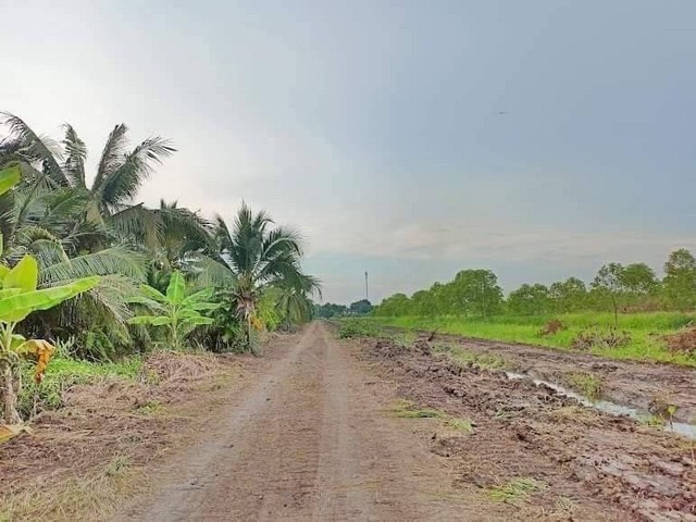 ที่ดินเงินผ่อน คลอง 11 รพีพัฒน์ หนองเสือ ปทุมธานี ผ่อนได้ 24 เดือน