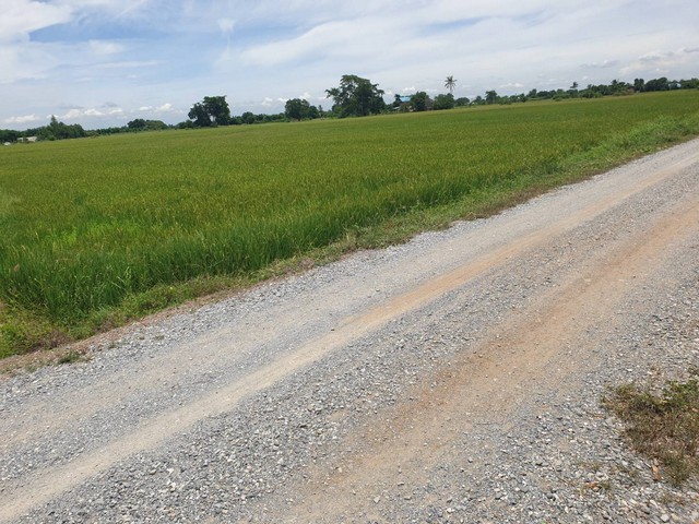 ขายที่ดินขนาด 2 แปลง ตำบล อำเภอ ดอนเจดีย์ จังหวัด สุพรรณบุรี