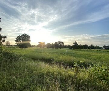 ขายที่ดิน บ้านหัวนา อำเภอแวงน้อย จังหวัดขอนแก่น เนื้อที่ 10 ไร่