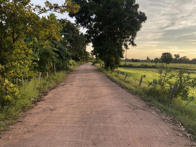 ขายที่ดิน บ้านหัวนา อำเภอแวงน้อย จังหวัดขอนแก่น เนื้อที่ 10 ไร่