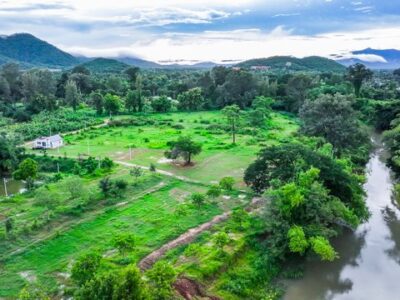 ขายที่ดินติดแม่น้ำเพชรบุรี โฉนดครุฑแดง เพชรบุรี ขายที่ดินริมน้ำ อำเภอท่ายาง เพชรบุรี ใกล้กรุงเทพ น้ำไม่ท่วม น้ำไฟพร้อม ฮวงจุ้ยท้องมังกร