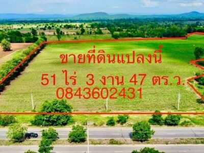 ขายที่ดินติดถนนหลัก บึงสามพัน เพชรบูรณ์ ท่าข้าว ต.พืชผล