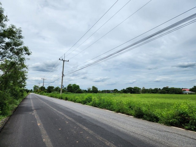 ขายด่วน ที่ดิน 48 ไร่ หนองแค สระบุรี ติดสนามทดสอบยางไทยบริดสโตน