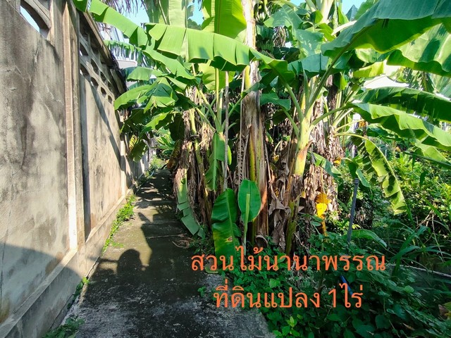 ขายที่ดินเปล่าติดถนนนครอินทร์ฝั่งขาเข้า ทำเลดี ตรงข้ามอู่พระรามห้า