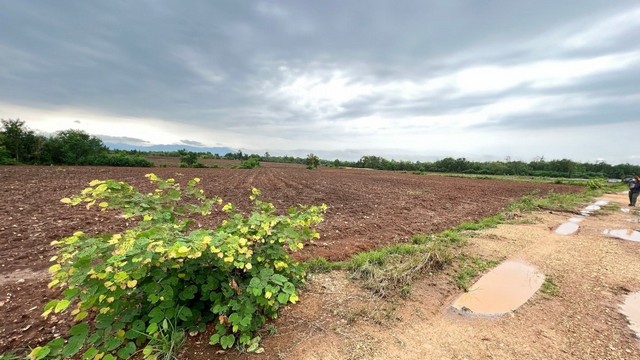 ขายด่วน ที่ดินสวย ต.บ้านโคก อ.เมืองเพชรบูรณ์ จ.เพชรบูรณ์