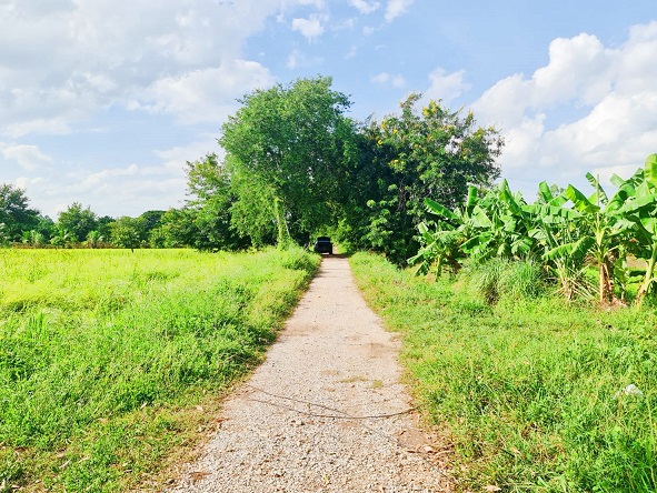 ที่ดินเหมาะทำบ้านสวน ตัวเมืองขอนแก่น ติดถนน 2ด้าน ใกล้คลองชลประทาน มีความเป็นส่วนตัว บรรยากาศดี เดินทางสะดวก