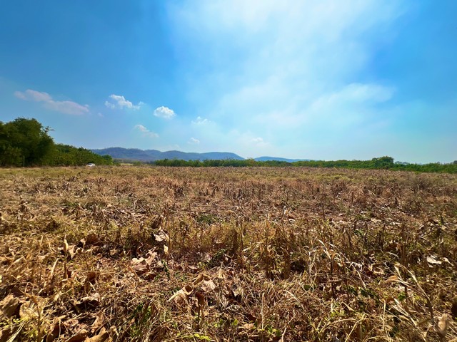 ขายที่ดินเปล่า บ้านโป่งตะขบ อ.วังม่วง จ.สระบุรี 17-1-11 ไร่ (6.5 ล้านบาท) ค่าโอน 50:50