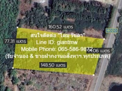 ที่ดิน ที่ดิน สามร้อยยอด 5999999 BAHT. ไม่ไกลจาก หาดสามพระยา 4 กม. ราคาดีเยี่ยม ประจวบคีรีขันธ์