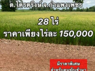 ขายที่ดินสวยราคาถูก ติดทางสาธารณะ ตำบลไตรตรึงษ์ อำเภอเมืองกำแพงเพขร