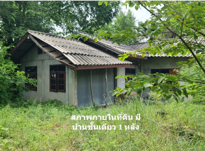 ขาย ที่ดิน ติดถนนเจนจบทิศ ทล.207 บ้านกระถิน กม.4 เนื้อที่ 23 ไร่ 3 งาน 26 ตรว ผังเมืองพื้นที่สีเขียว