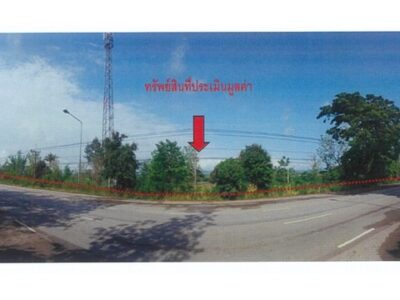 ขายที่ดิน อำเภองาว จังหวัดลำปาง ขนาด 3 ไร่ 11 ตร.ว