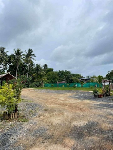 ขายที่ดินติดทะเล ใกล้สนามบินภูเก็ต ที่ดินสวย หมู่ 2 ต.ไม้ขาว อ.ถลาง ภูเก็ต Beach front land for sale phuket