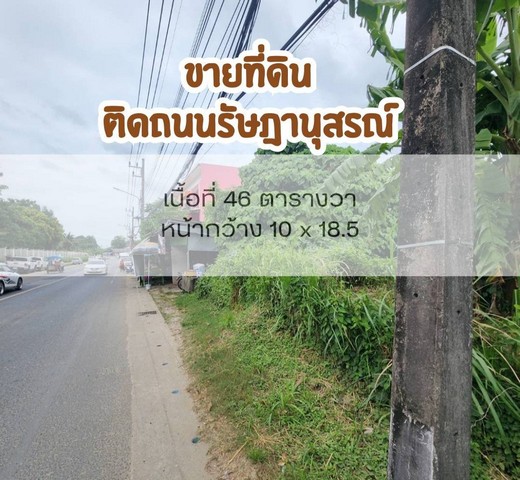 ขายที่ดินสวย ติดถนนรัษฎานุสรณ์ เทศบาลนครภูเก็ต ใจกลางภูเก็ต