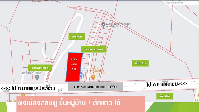 พื้นที่ดิน ที่ดินชะอำ 2 Rai 0 NGAN 0 sq.wa 8000000 BAHT ราคาถูกกว่าตลาด ใกล้การไฟฟ้าชะอำ เหมาะสำหรับทำโครงการจัดสรรขนาดเล็ก