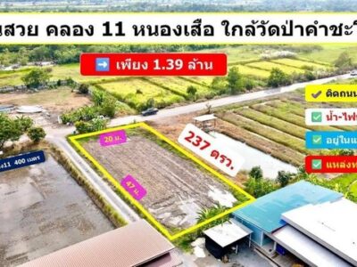 ที่สวย ทำเลดี ติดถนนลาดยาง 237 ตรว. เพียง 1.39 ล้าน คลอง 11 หนองเสือ ปทุมธานี