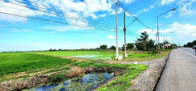 ขายที่ดินติดถนน คลอง 12 ลำลูกกา-ธัญบุรี 62 ไร่ ใกล้โครงการ เรนวูด ปาร์ค คลอง11 ลำลูกกา เหมาะจัดสรรแบ่งแปลงที่ดินขาย ทำโครงการบ้านขาย