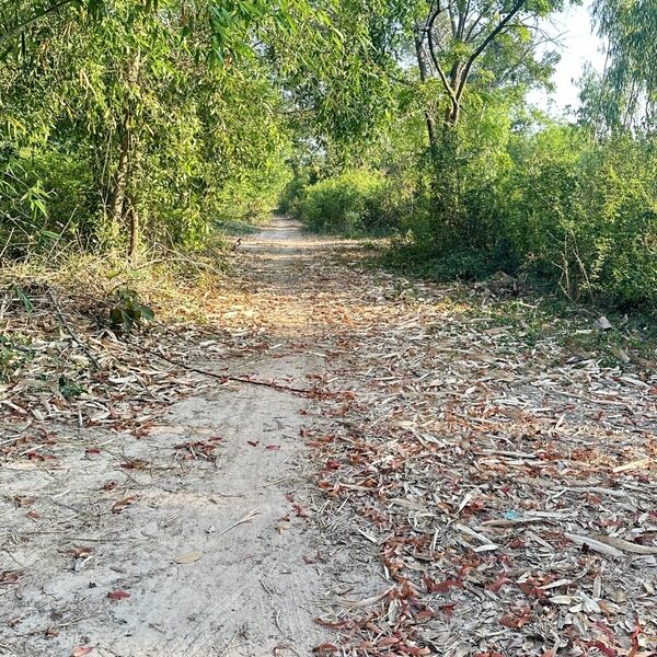 ขายที่ดินในเมืองศรีสะเกษ 24 ไร่ 96 ตร.ว เมืองศรีสะเกษ ต.เมืองใต้ จ.หวัดศรีสะเกษ