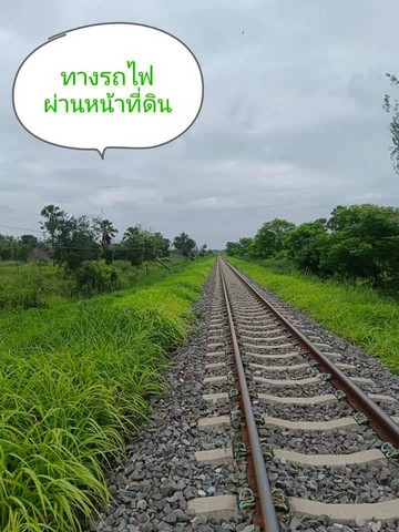 ขายที่ดิน (โคกหนองนา) 9 ไร่ 2 งาน อำเภอประจันตคาม จังหวัดปราจีนบุรี ฟรีโอน