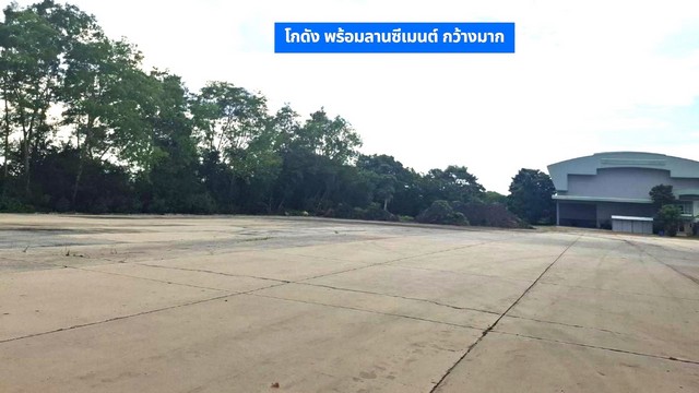 ขายโกดังขนาดใหญ่ 13-3-18 ไร่ ติดถนนหลัก พร้อมสำนักงาน 2 ชั้น,บ้านพักคนงาน 6 ห้องและบ้านเดี่ยว 2 ชั้น บ้านชุ้ง นครหลวง อยุธยา