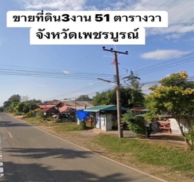 ขายด่วน! ที่ดินบ้านโคก เนื้อที่ 3 งาน 51 ตรว.(351 ตรว.) ทำเลติดถนนลาดยาง ใกล้ ลานชมดาว อุทยานแห่งชาติตาดหมอก เมืองเพชรบูรณ์ จ.เพชรบูรณ์