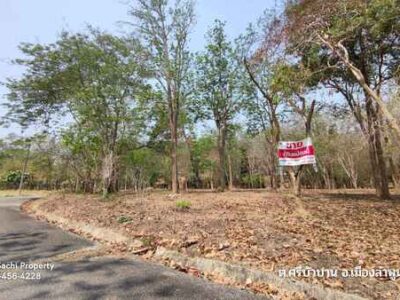 ขายที่ดิน 344 ตร.ว. ใกล้ศูนย์ราชการจังหวัดลำพูน (แห่งใหม่) บรรยากาศดี สไตล์บ้านพักตากอากาศ