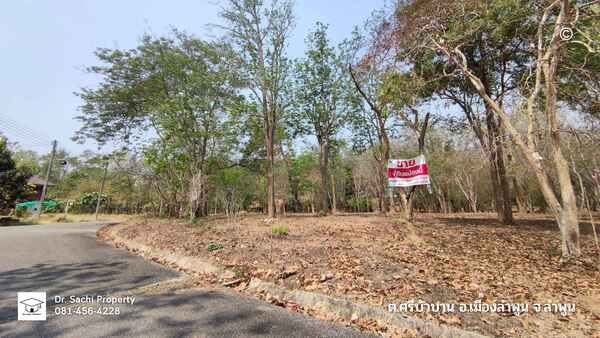 ขายที่ดิน 344 ตร.ว. ใกล้ศูนย์ราชการจังหวัดลำพูน (แห่งใหม่) บรรยากาศดี สไตล์บ้านพักตากอากาศ