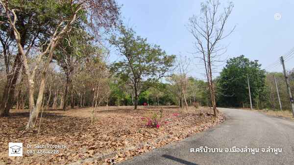 ขายที่ดิน 344 ตร.ว. ใกล้ศูนย์ราชการจังหวัดลำพูน (แห่งใหม่) บรรยากาศดี สไตล์บ้านพักตากอากาศ