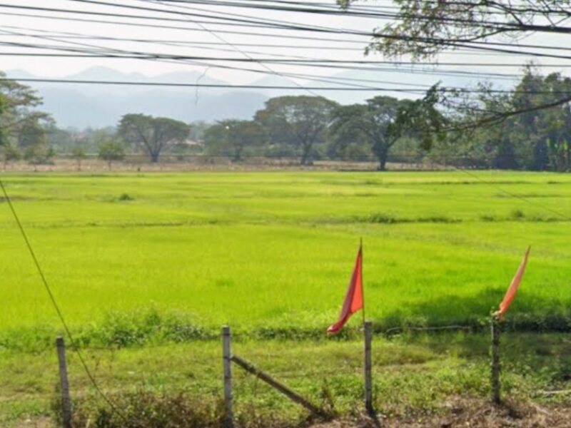 ขาย ที่ดิน ที่ดิน 51ไร่ หน้าที่ดิน ติดถนนซุปเปอร์ไฮเวย์ 170เมตร 51 ไร่ สวย วิวดี ใกล้แหล่งน้ำชลประทาน