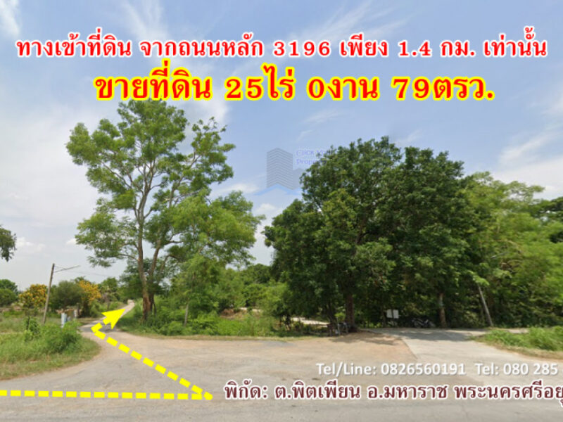 ขาย ที่ดิน เมืองกรุงเก่าพระนครศรีอยุธยา ขายที่ดินมรดกเจ้าคุณปู่ 25 ไร่ 79 ตรว ใกล้ถนนหลักเพียง 1.4กม.เท่านั้น