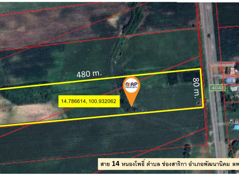 ขายที่ดิน ช่องสาริกา อ.พัฒนานิคม 24 ไร่ 41.8 ตร.ว., ลพบุรี