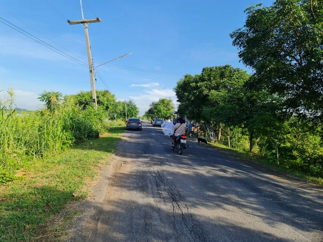 หาทรัพย์ดีดีท้าลมหนาว ที่ดิน ติดถนนคอนกรีต อ.มหาราช จ.อยุธยา