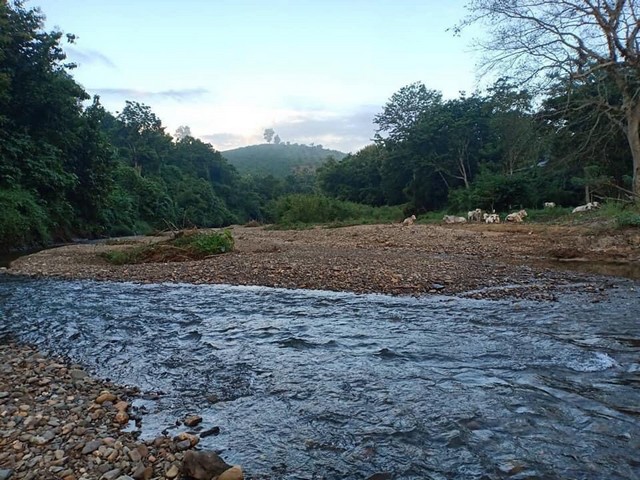 อสังหาเหมาะแก่การลงทุนระยะยาว ที่ดิน ที่ดินติดลำธารน้ำใสไหลริน ชุ่มฉ่ำตลอดปี สวยวิวล้าน 800000บาท 3-0-35ไร่ อำเภอสันติสุข น่าน