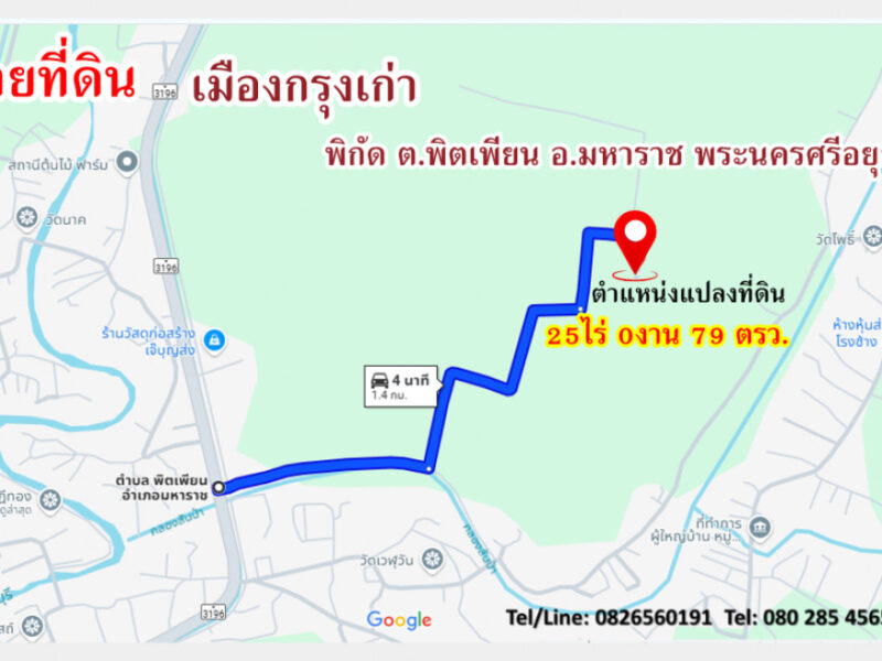 ขาย ที่ดิน เมืองกรุงเก่าพระนครศรีอยุธยา ขายที่ดินมรดกเจ้าคุณปู่ 25 ไร่ 79 ตรว ใกล้ถนนหลักเพียง 1.4กม.เท่านั้น