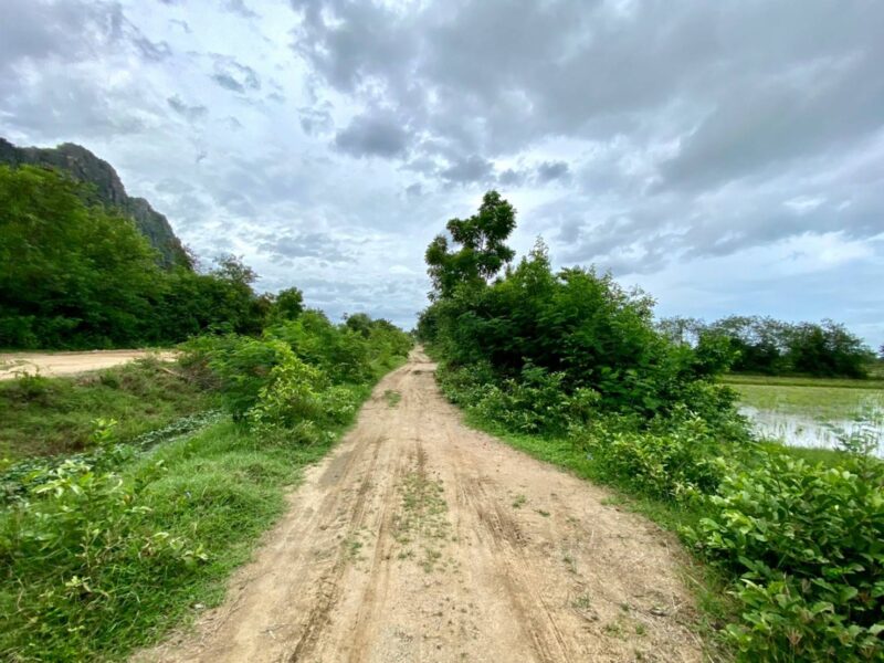 ขายที่ดินเพชรบุรี ตำบล ชะอำ อำเภอ ชะอำ วิว วนอุทยานเขานางพันธุรัต 14 ไร่