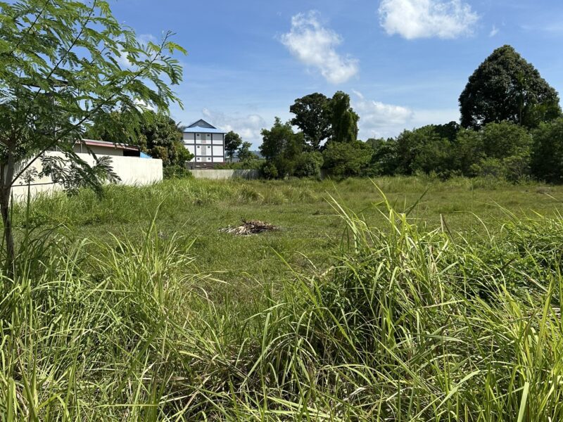 Land For Sale (Owner Post) ขายที่ดิน (เจ้าของขายเอง) : บ้านดอน, เชิงทะเล