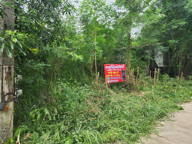 ที่ดิน - 0 RAI 0 Ngan 102 ตร.วา 1300000 B. ไม่ไกลจาก ตลาดไท วัดธรรมกาย ร้านพี่ยาคนรุม !!! ถมแล้ว