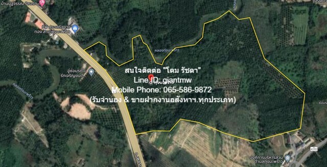 SALE ที่ดิน ที่ดิน ทุ่งมะพร้าว อ.ท้ายเหมือง จ.พังงา 91396250 BAHT. พ.ท. 14623 ตรว. ไม่ไกลจาก ท่าเรือทับละมุ 12.7 กม. (ไปเกาะสิมิลัน และเกาะสุรินทร์) !!!