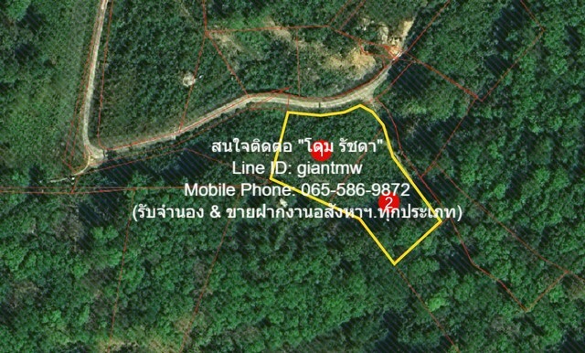 ขายที่ดินเปล่าบนภูเขา, วิวทะเล และมีถนนคอนกรีตหน้าที่ดิน ต.กมลา อ.กะทู้ จ.ภูเก็ต (2 ไร่), ราคา 34 ล้านบาท