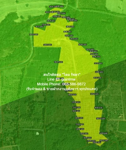 พื้นที่ดิน ขายที่ดินสวนผลไม้ปลอดสารพิษ (Organic) อ.ประจันตคาม จ.ปราจีนบุรี 57-0-90.4 ไร่, ราคา 57 ล้านบาท 90 ตาราง.วา 0 ngan 57 RAI 57000000 - ใกล้ ห่างทางหลวงหมายเลข 3649 (ถนนสุวรรณศร) ประมาณ 5 กม. FOR SALE ปราจีนบุรี