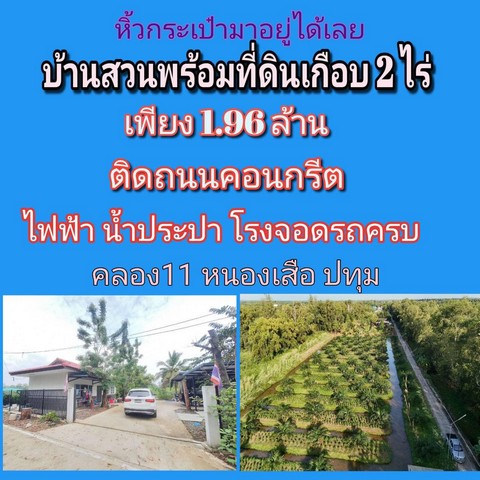 บ้านสวนพร้อมสวนปาล์ม ไฟฟ้าน้ำประปาครบ ติดถนนคอนกรีต คลอง11 หนองเสือ ปทุมธานี