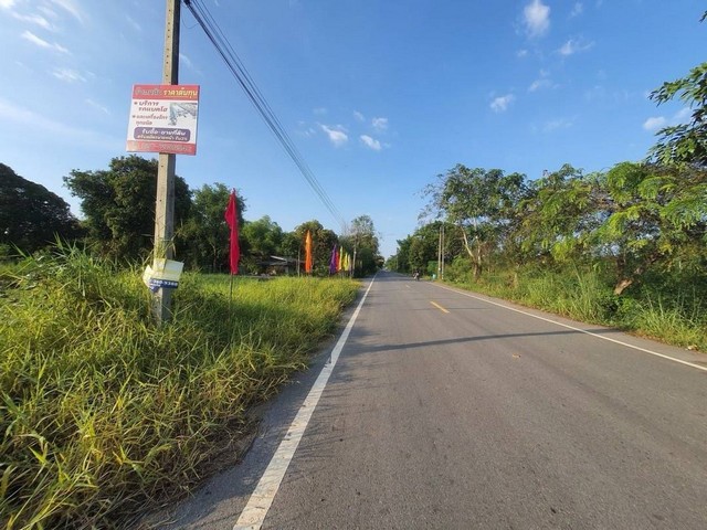 บ้านสวนพร้อมสวนปาล์ม ไฟฟ้าน้ำประปาครบ ติดถนนคอนกรีต คลอง11 หนองเสือ ปทุมธานี