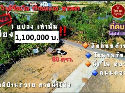 ขายที่ดิน 80ตรว. 1.1ลบ. ฟรีโอน แปลงมุม ทำเลค้าขาย สาธารณูปโภคครบ ใกล้จังเกิ้ล คาเฟ่ บ้านถวาย ต.ขุนคง อ.หางดง เชียงใหม่