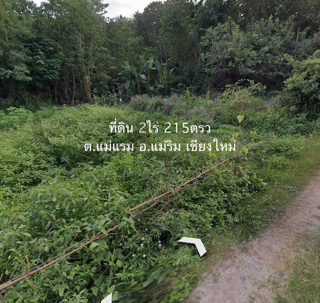 ขาย ที่ดินสวยแม่ริม ใกล้น้ำตกแม่สา ทางขึ้นม่อนแจ่ม ไม่ไกลจากตัวเมือง เดินทางสะดวก