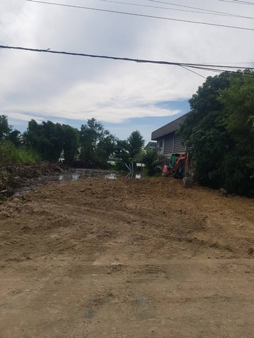 ขายด่วนมาก ที่ดินซอยบางปู111 เพลินจิต ถนนสุขุวิทสายเก่า บางปู สมุทรปราการ