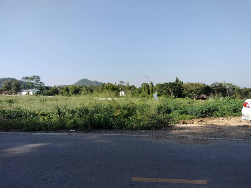 Land for Sell ใกล้ ปตท.ทางขึ้นเขาใหญ่ (หนองสาหร่าย) มีหลายแปลง แบ่งโฉนดเรียบร้อย พร้อมโอน