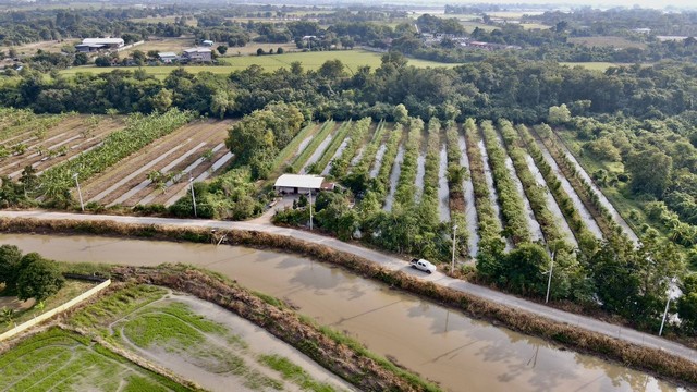 ที่ดินหนองแค สระบุรี ไร่ละ 980,000 บาท แบ่งขายล็อกละ 4 ไร่ขึ้นไป