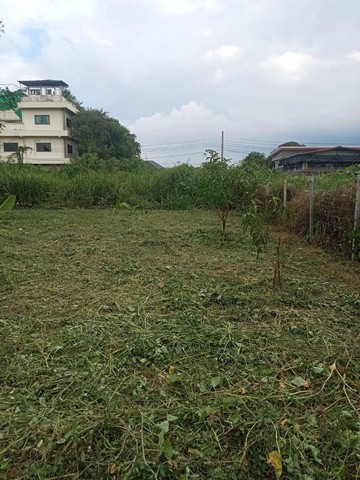 ขายที่ดิน 120 ตร.ว. ซอยบรมราชชนนี68 แขวง ศาลาธรรมสพน์ เขต ทวีวัฒนา กทม