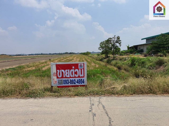 พื้นที่ดิน ขายที่ดินเปล่า ตำบลคูบางหลวง อำเภอลาดหลุมแก้ว จังหวัดปทุมธานี 16150000 - ONE PRICE! ที่ดินรูปสี่เหลี่ยมผืนผ้า, ขายถูกมาก